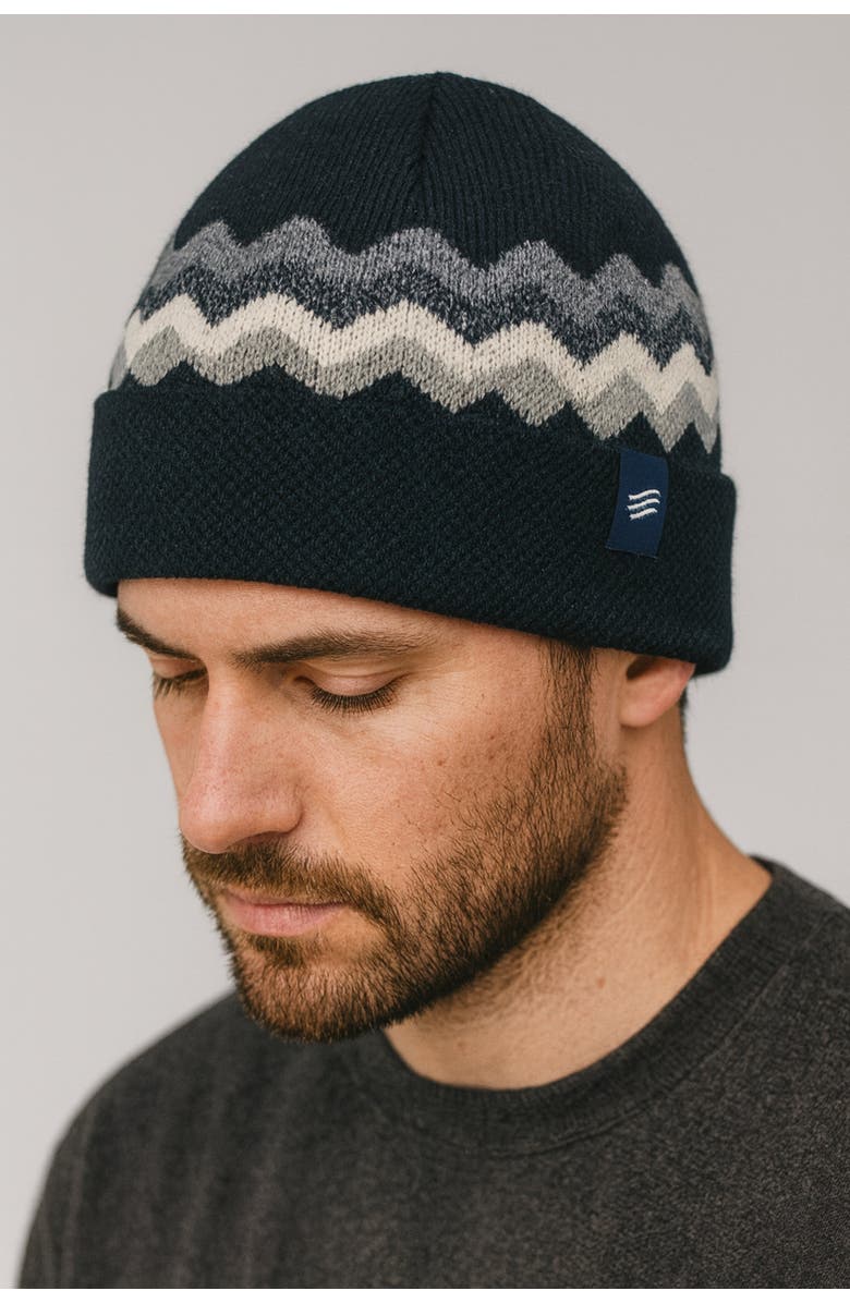United By Blue The Merino Wool Mountain Scape Knit Beanie, Alternate, color, Black