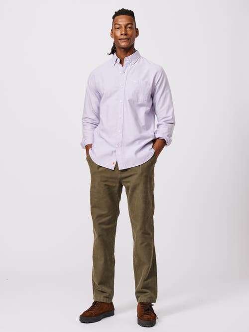 Aubin Aldridge Oxford Button Down Shirt In Purple