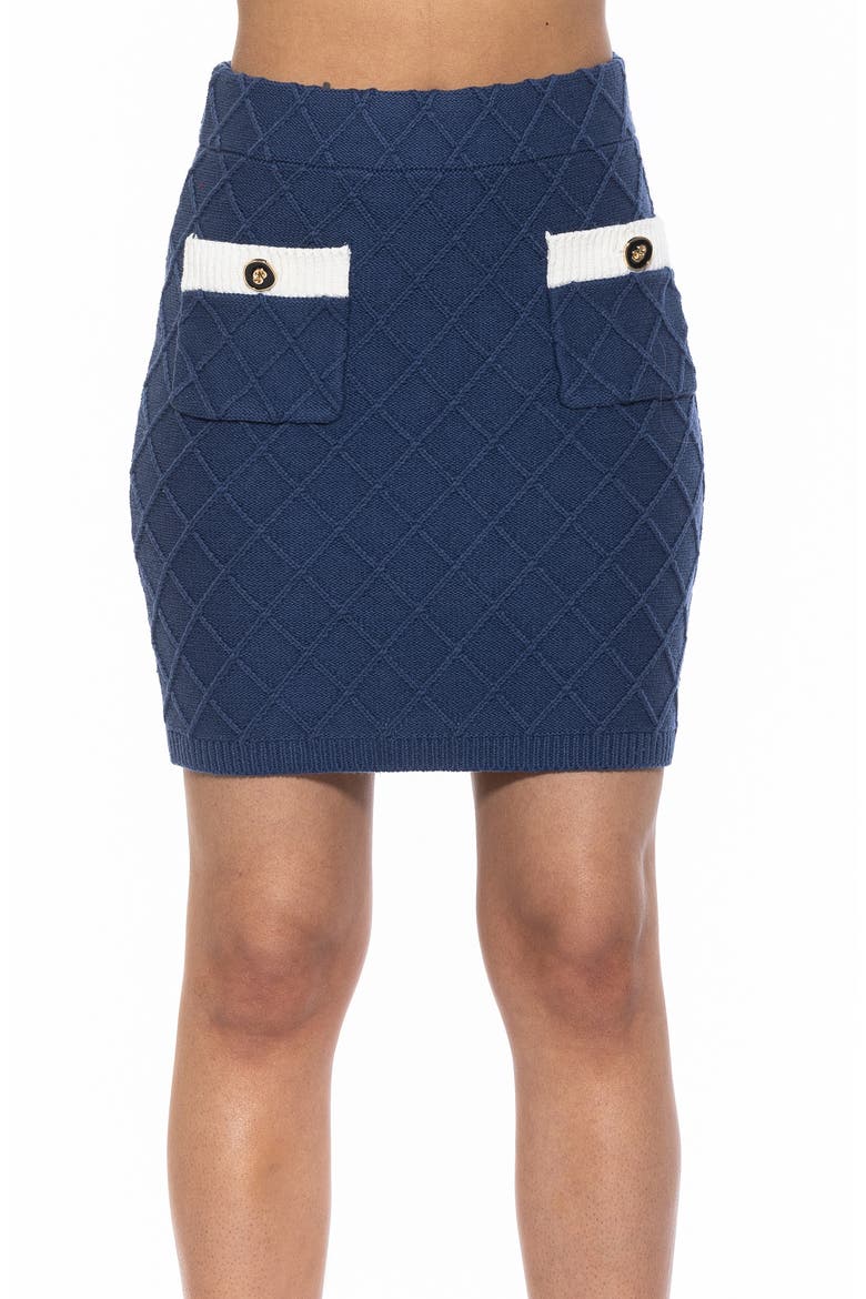Pattern Knit Miniskirt, Main, color, DENIM BLUE