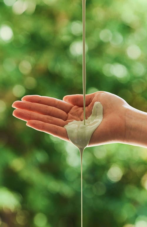 Pinkwonder Tamanu Hero Clay-fit Mask