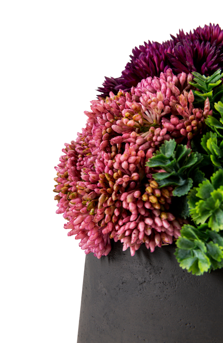 CocoBella Neriah Mini Sedum Arrangement, Alternate, color, Charcoal