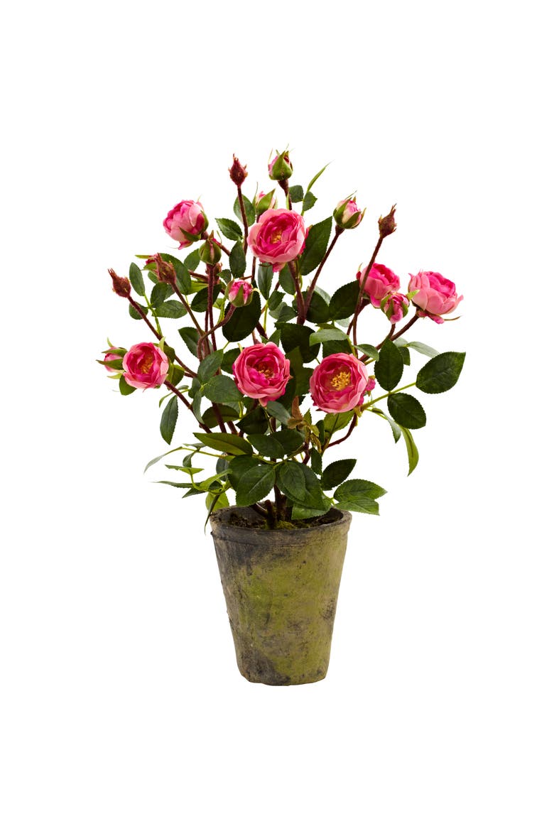 French Rose Garden, Main, color, Pink/Green