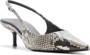 ALDO Sabbie Slingback Pointed Toe Pump