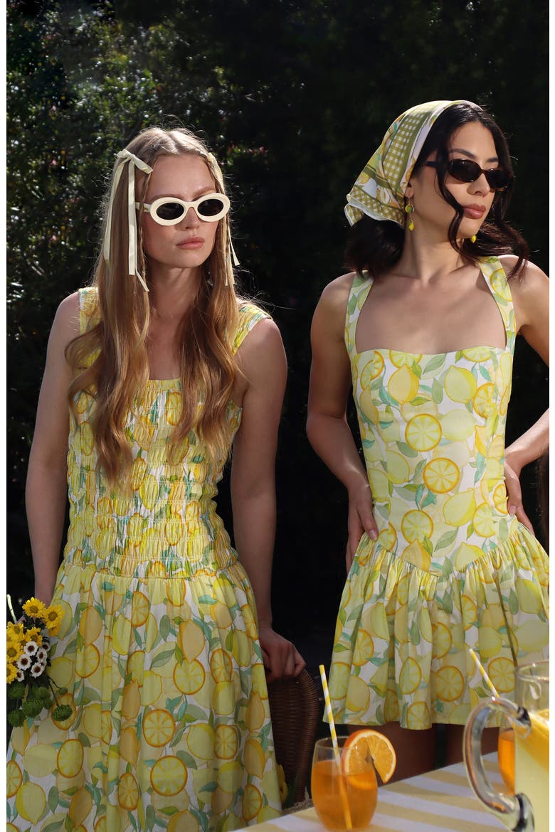 Smocked Sleeveless Fit & Flare Maxi Dress, Alternate, color, LIMONCELLO