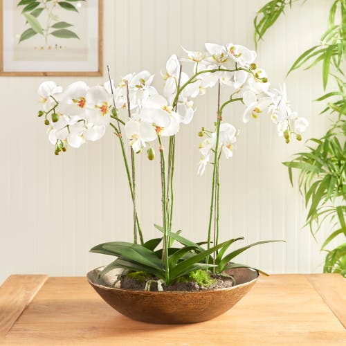 Napa Home & Garden Myron Decorative Bowl In Brown