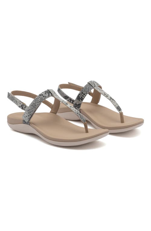 Abeo Oasis T Strap Sandal In Snake - Regular