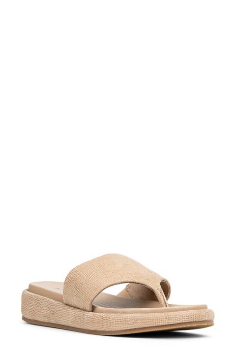 Aneetas Flip Flop (Women)