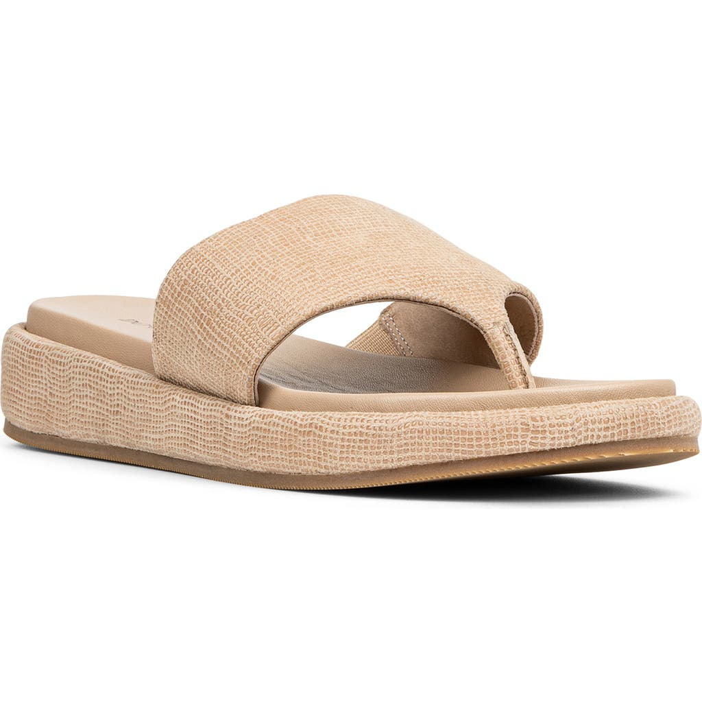 Donald Pliner Aneetas Flip Flop In Brown