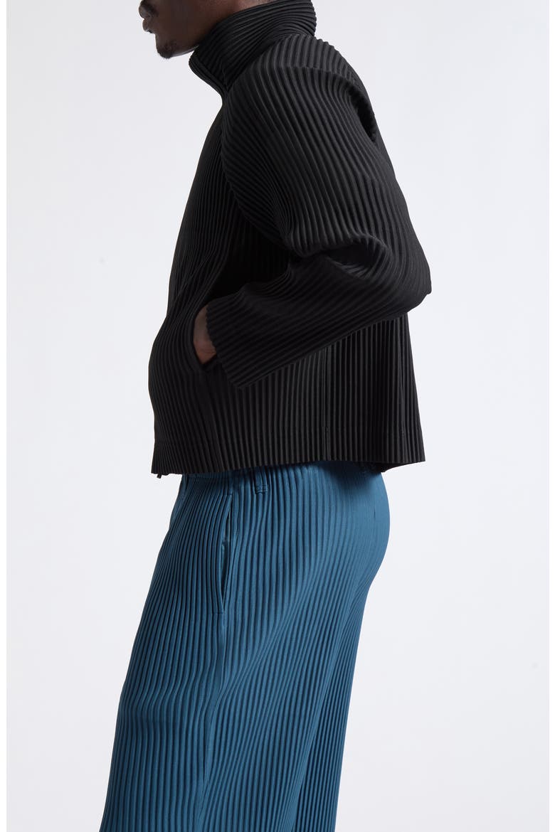 Tailored Pleats 1 Jacket, Alternate, color, BLACK