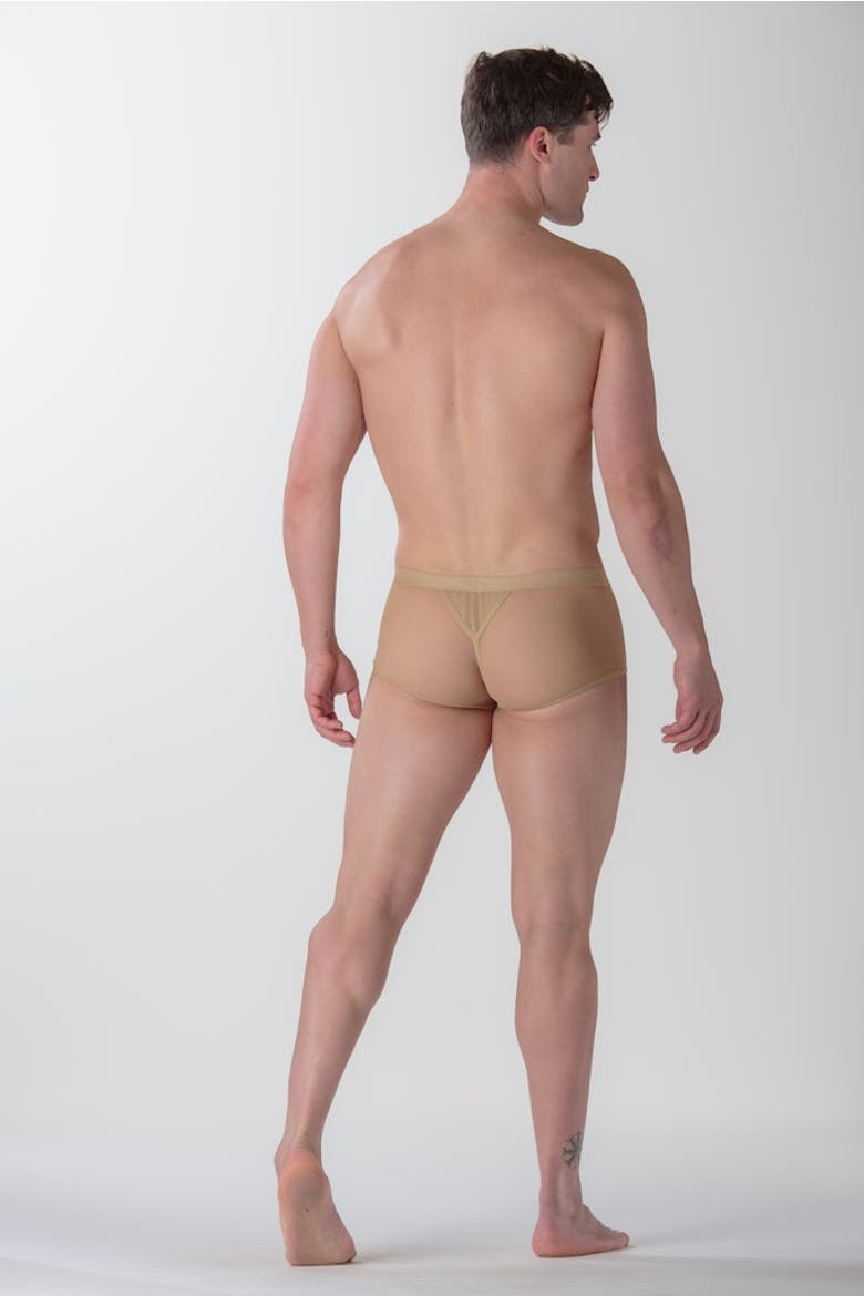 Personal Allure Trunk, Alternate, color, Skin