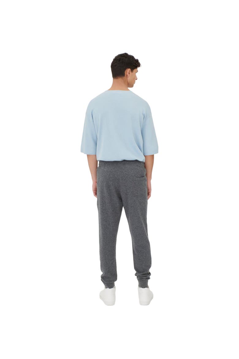 Men's Cashmere Jogger, Alternate, color, plum kitten