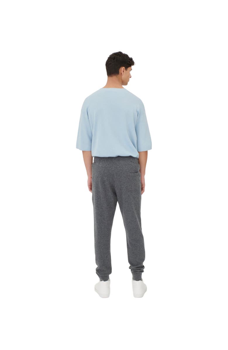 GOBI Mongolian Cashmere Men's Cashmere Jogger, Alternate, color, Plum Kitten