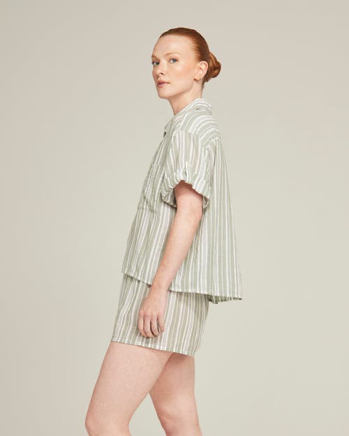 Nudea The Short Sleeve Shirt In Sage Stripe