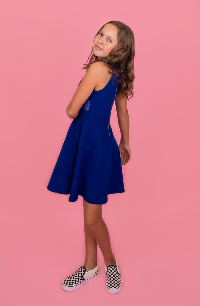 LNL Love, Nickie Lew Mesh Inset Skater Dress, Alternate, color, 