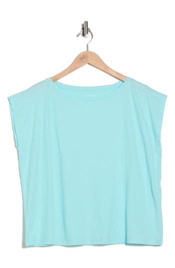 Eileen Fisher Bateau Neck Cotton Boxy Top In Blue