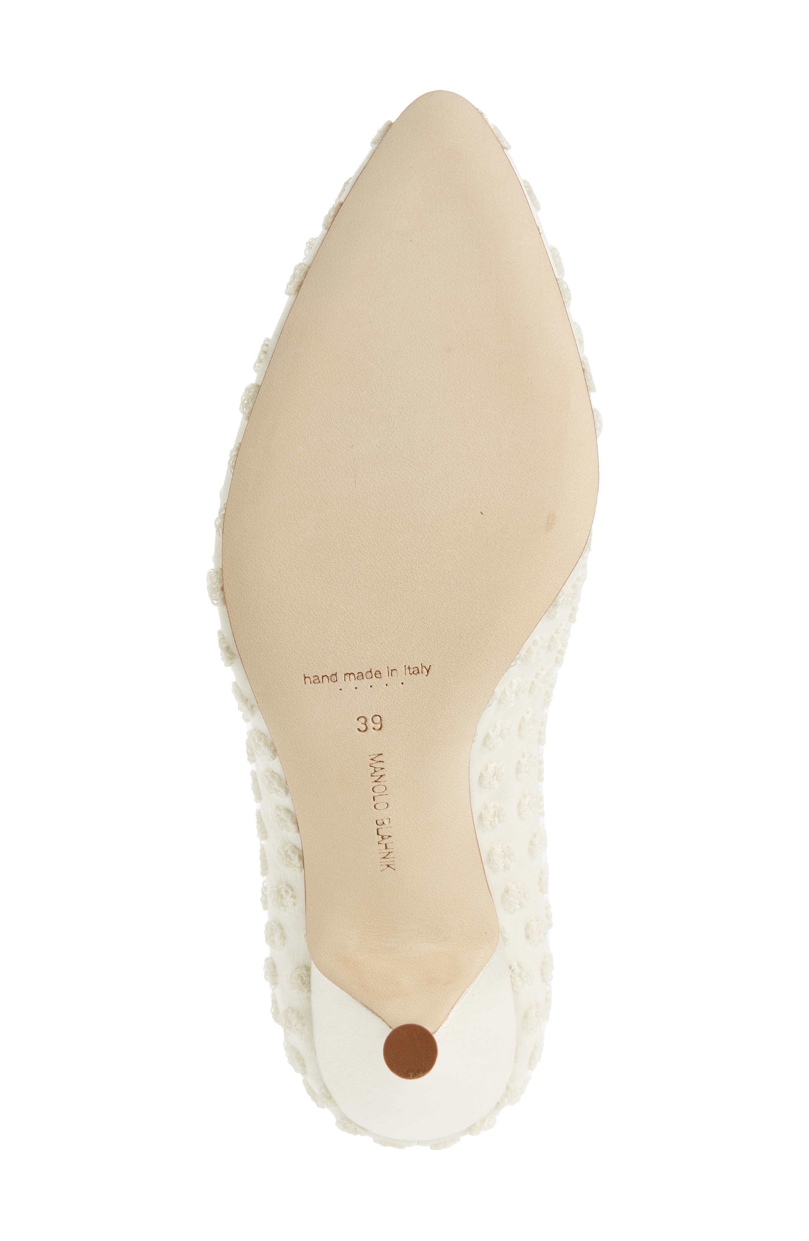 Manolo Blahnik Hangisi Pointed Toe Pump, Alternate, color, 