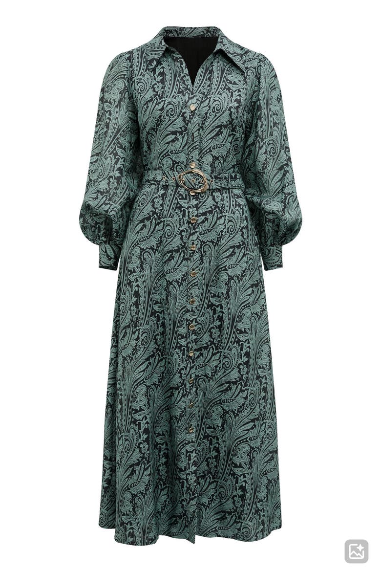 Hazel Long Sleeve Floral Print Midi Shirtdress, Alternate, color, NAMI PAISLEY