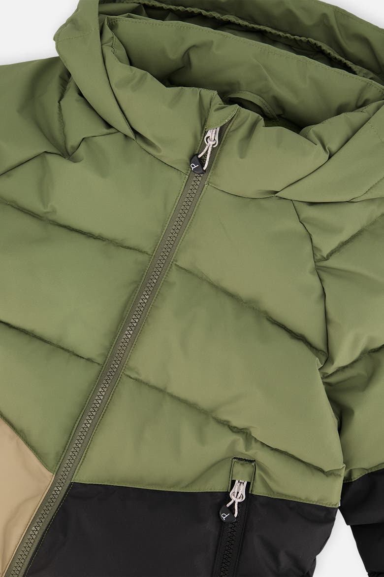 Boy Color Block Hooded Fleece Lined Winter Jacket, Alternate, color, Olive Green