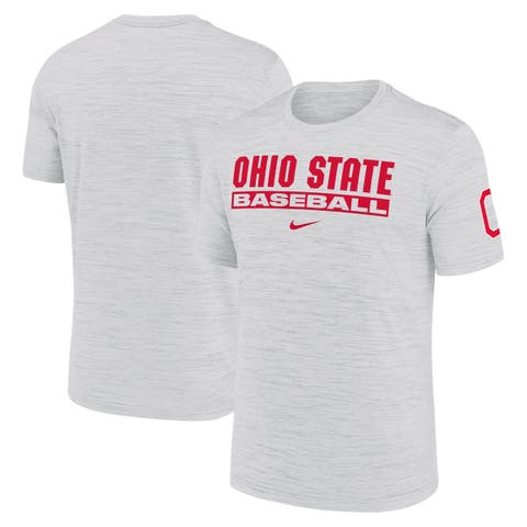 Men's Nike Ash Ohio State Buckeyes Velocity Baseball Wordmark Stack Performance T-Shirt