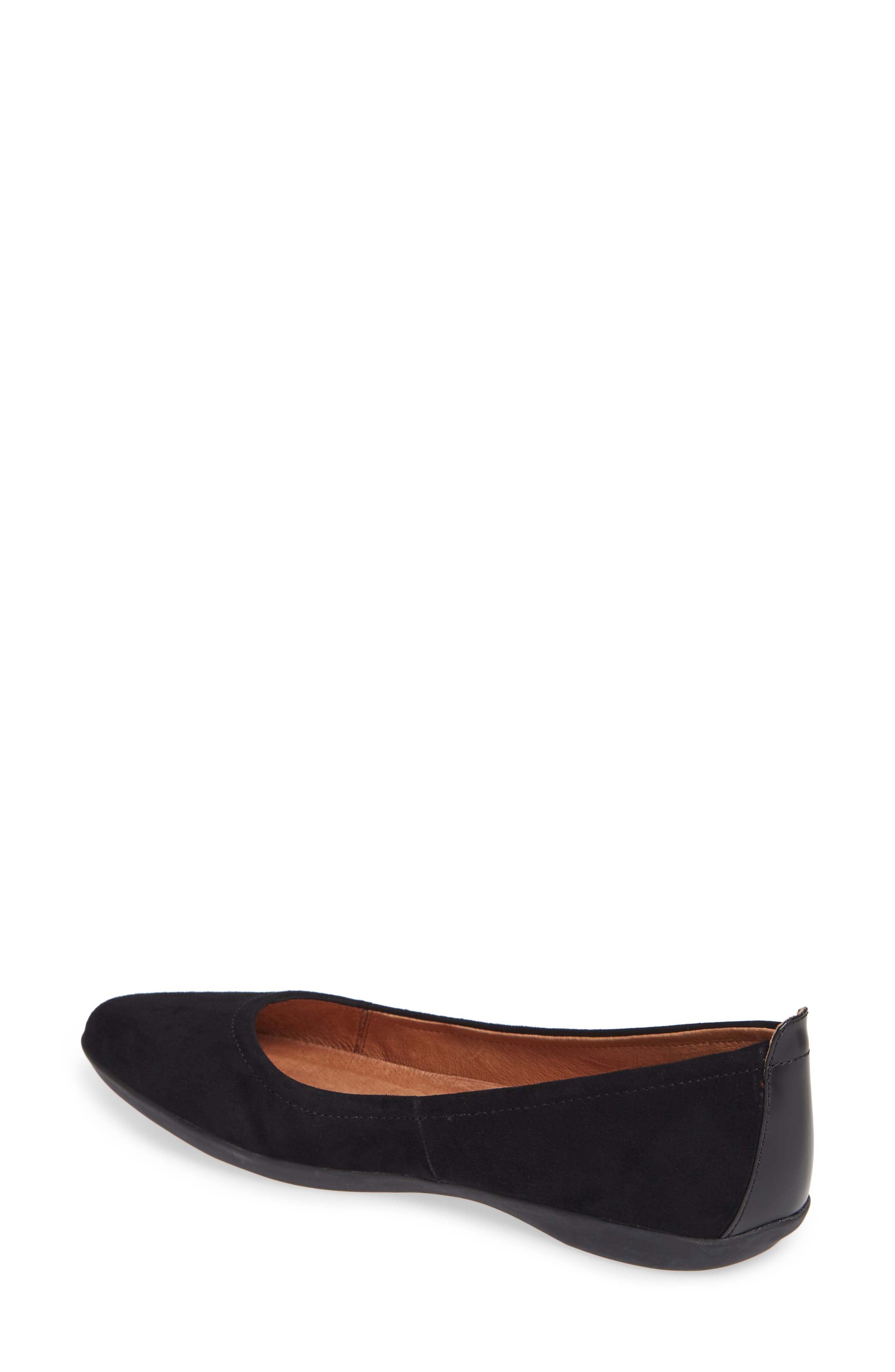 Sudini Lily Flat, Alternate, color, 