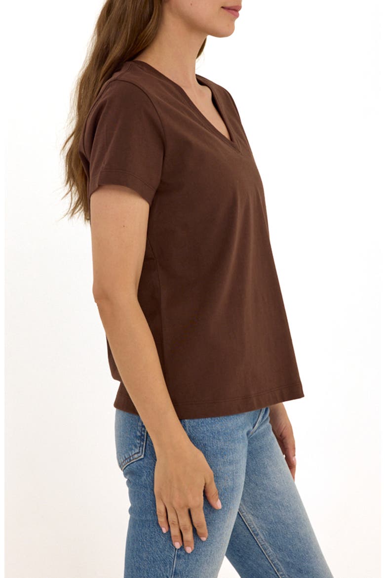Aria Essential Organic Cotton T-Shirt, Alternate, color, COFFEE