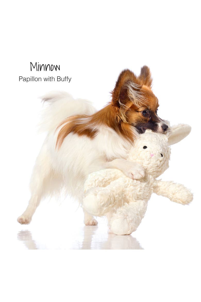 Buffy the Bunny Bear Dog Toy, Alternate, color, BUFFY