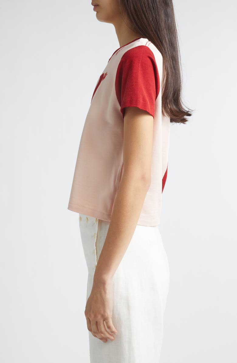 Bode Wonderland Colorblock T-Shirt, Alternate, color, Red Pink