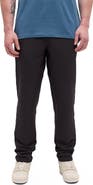 tentree Simcoe Pant