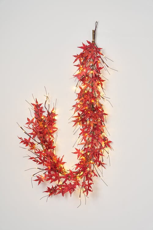 Darby Creek Trading Brown Branch & Twig Lighted Japanese Red Maple Fall Mantle Pre-lit Garland Table In Red