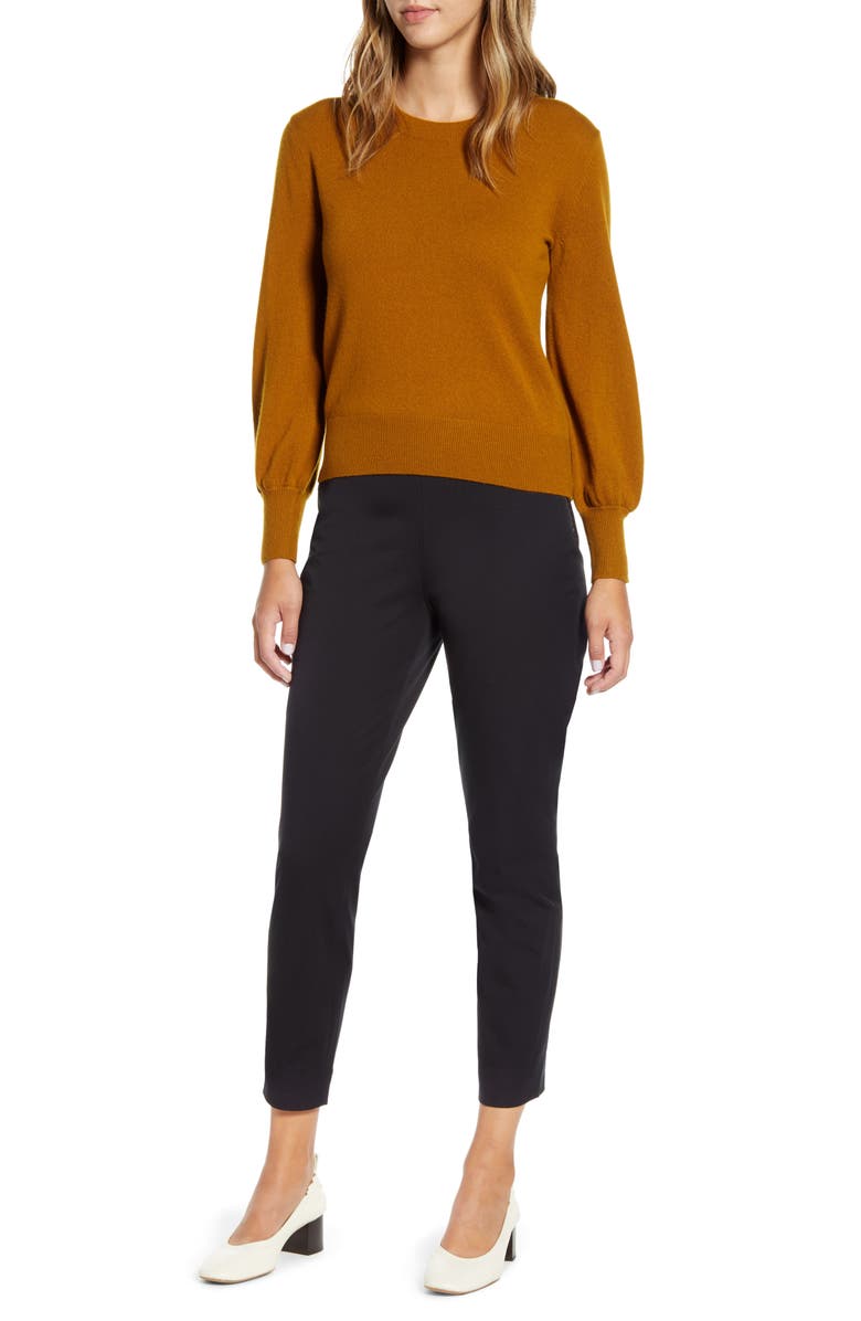 Everlane The Side Zip Work Pants, Alternate, color, 