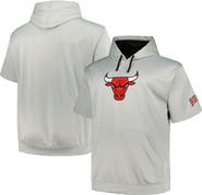 FANATICS Men's Fanatics Branded Silver Chicago Bulls Big & Tall Logo Pullover Hoodie