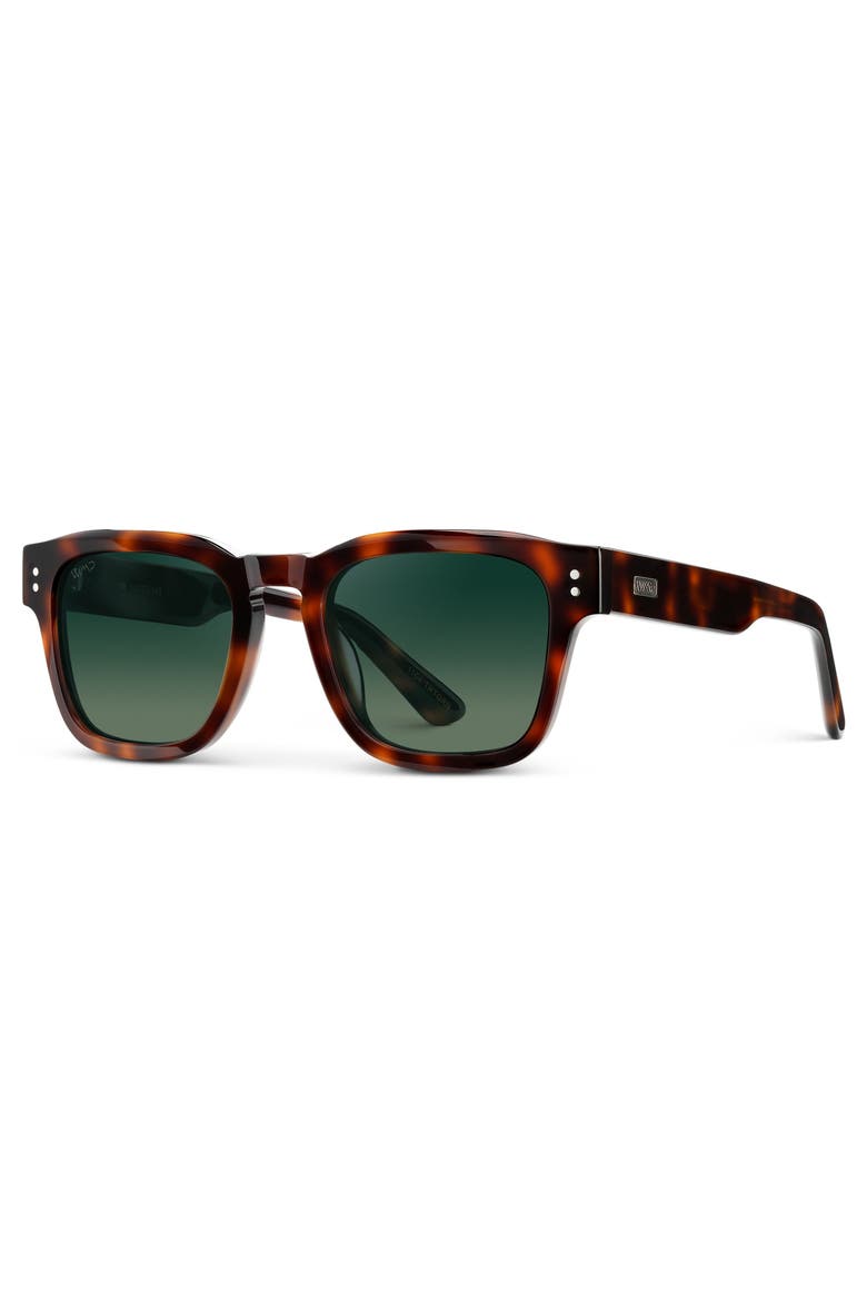 Wayne - 50mm Rectangular Polarized Sunglasses, Alternate, color, Havana Tortoise