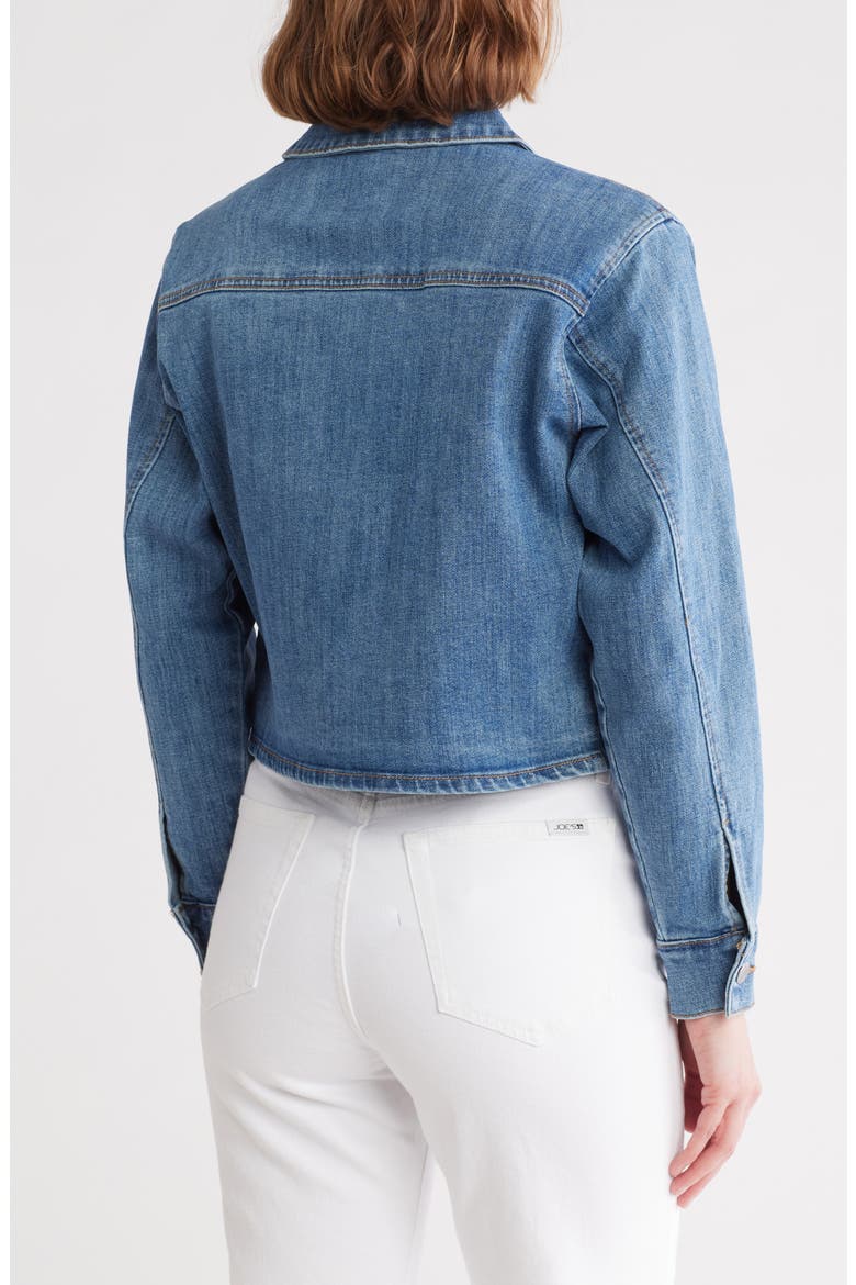 Crop Denim Jacket, Alternate, color, ANITA