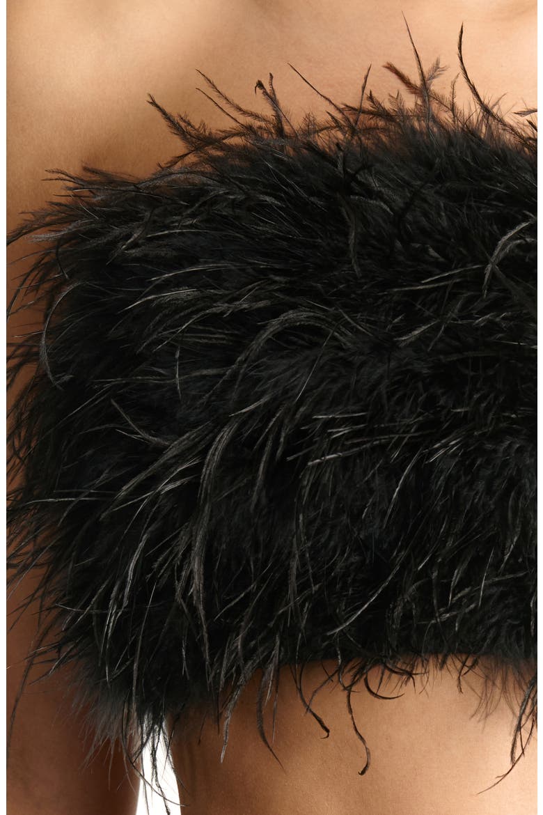 Butter Feather Tube Top, Alternate, color, BLACK