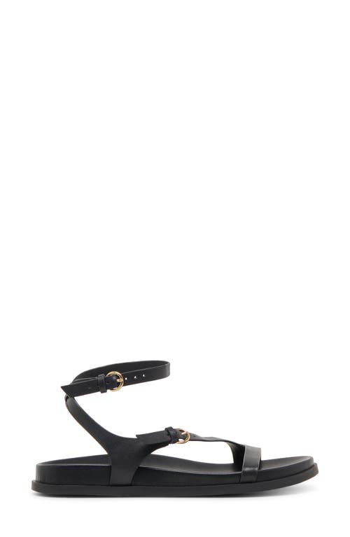 Dolce Vita Darlis Ankle Strap Sandal In Black Leather