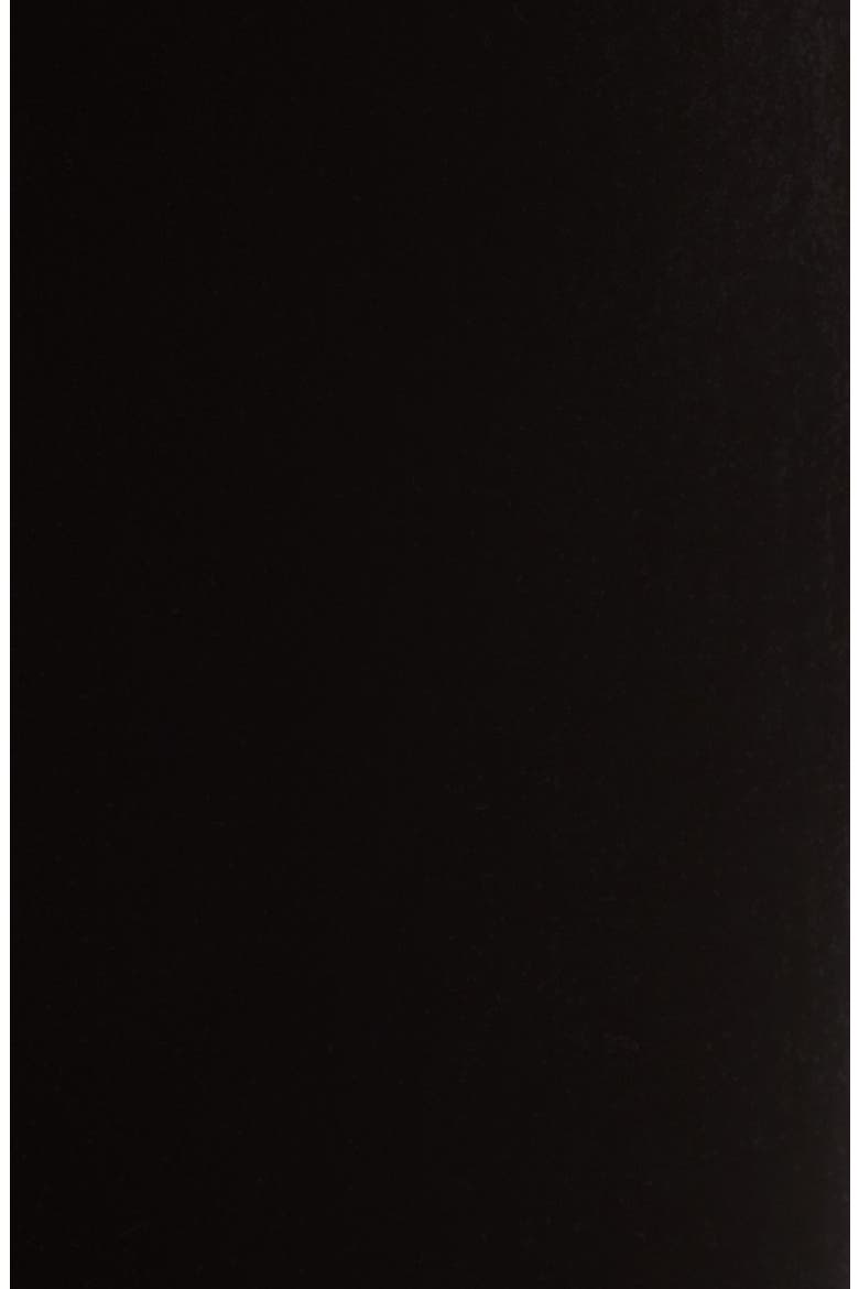 Luxe Velvet Corset Dress, Alternate, color, BLACK