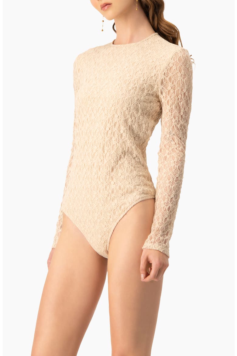 Long Sleeve Fitted Crew Neck Stretch Lace Bodysuit, Alternate, color, Beige