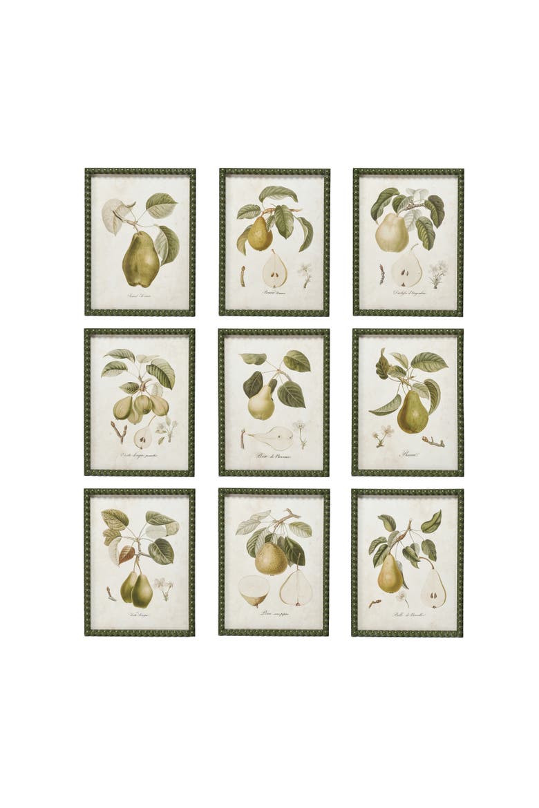 Orchard Essence Pear Print, Main, color, Cream