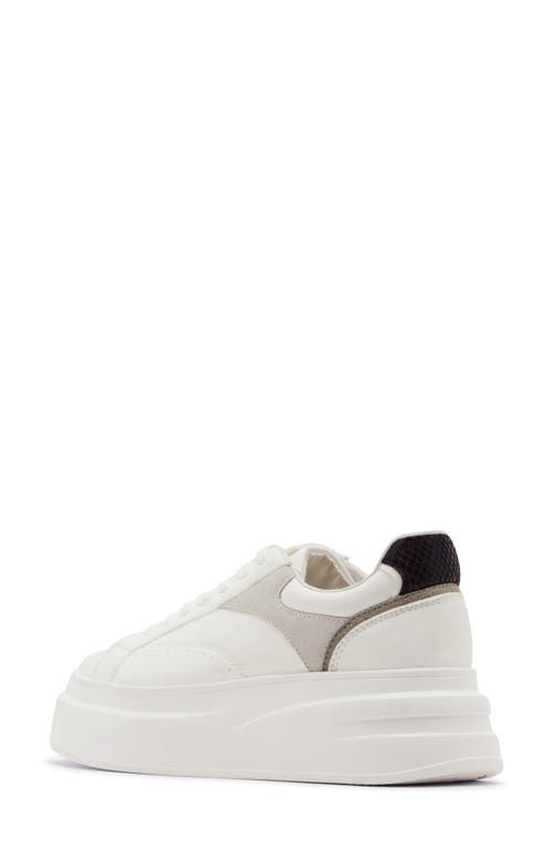 Steve Madden Venture Platform Sneaker