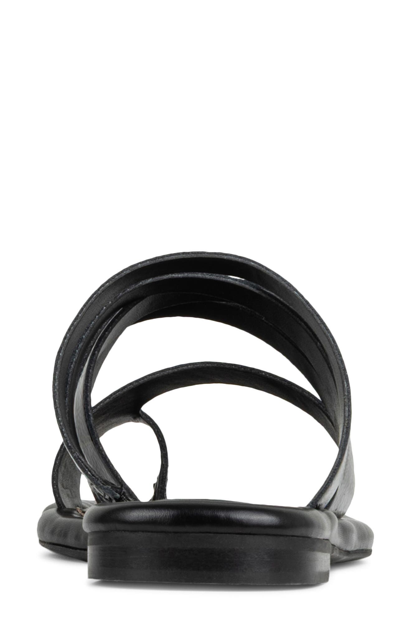 Donald Pliner Hazie Toe Loop Sandal, Alternate, color, Black