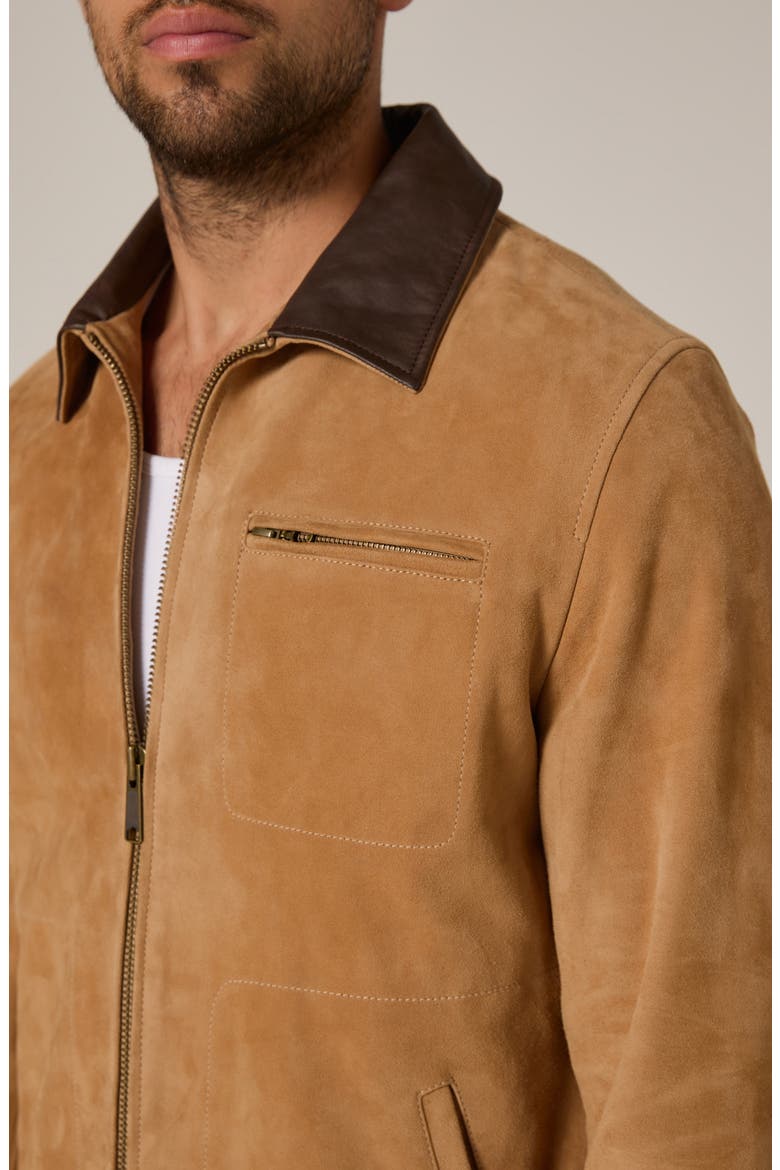 Maverick Suede Jacket, Alternate, color, TAN
