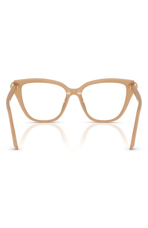 Swarovski 54mm Cat Eye Optical Glasses In Neutral