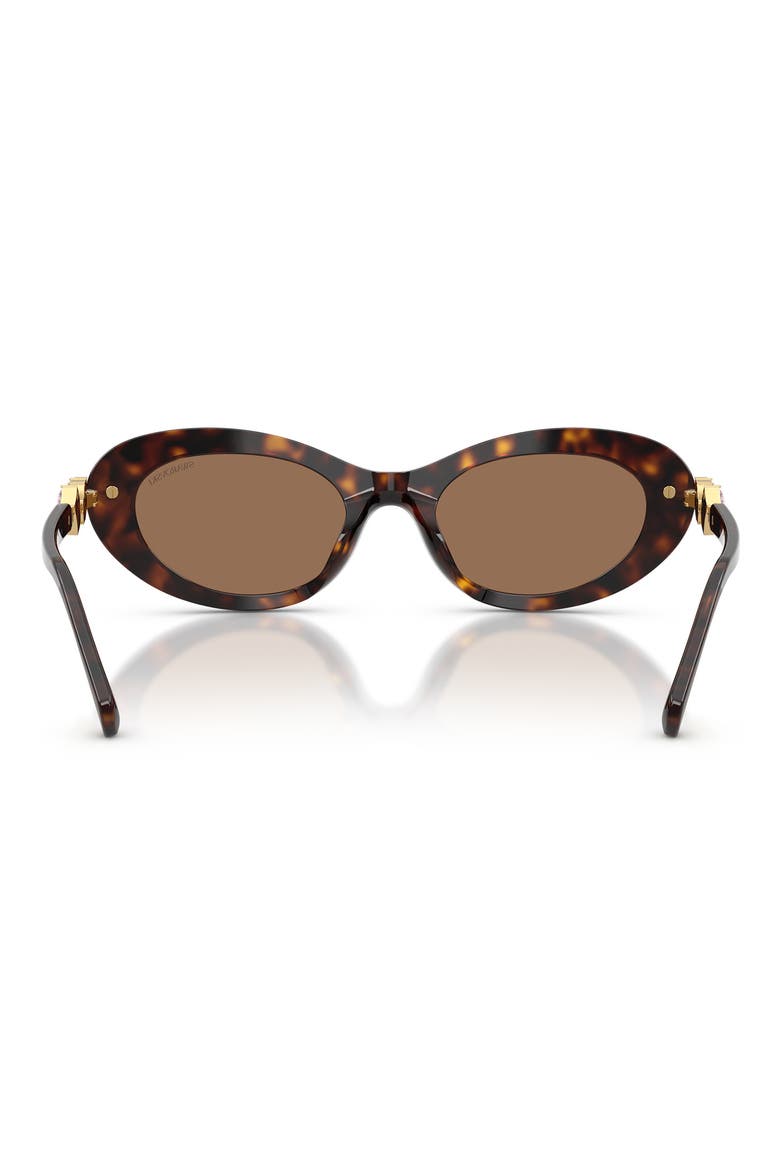 53mm Oval Sunglasses, Alternate, color, HAVANA / DARK BROWN