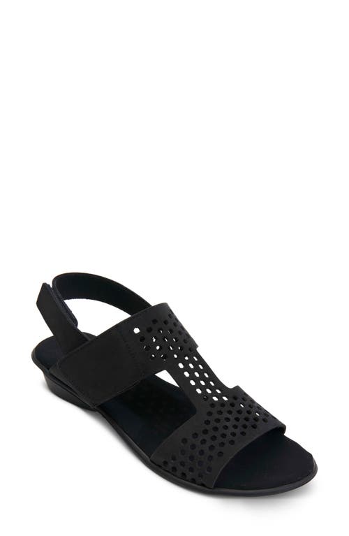 Sesto Meucci Elicia Slingback Sandal In Black
