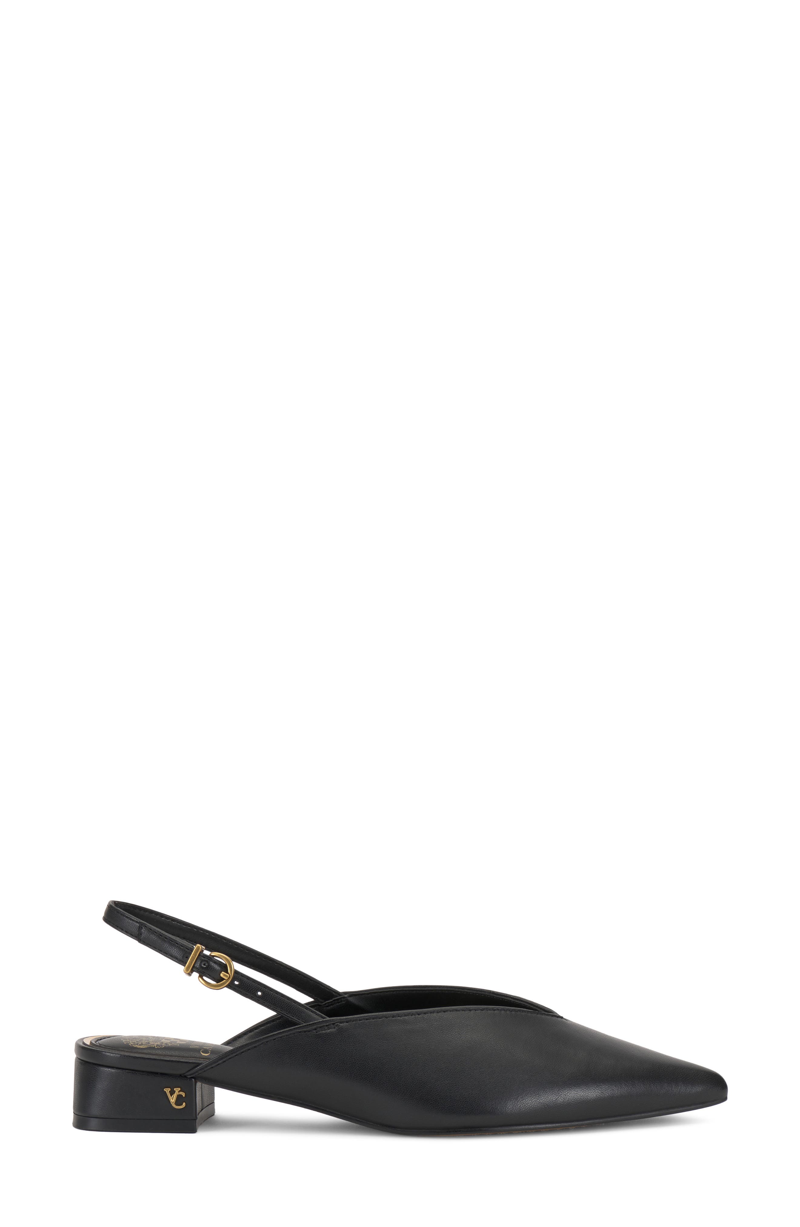 Venba Pointed Toe Slingback Flat, Alternate, color, BLACK LEATHER