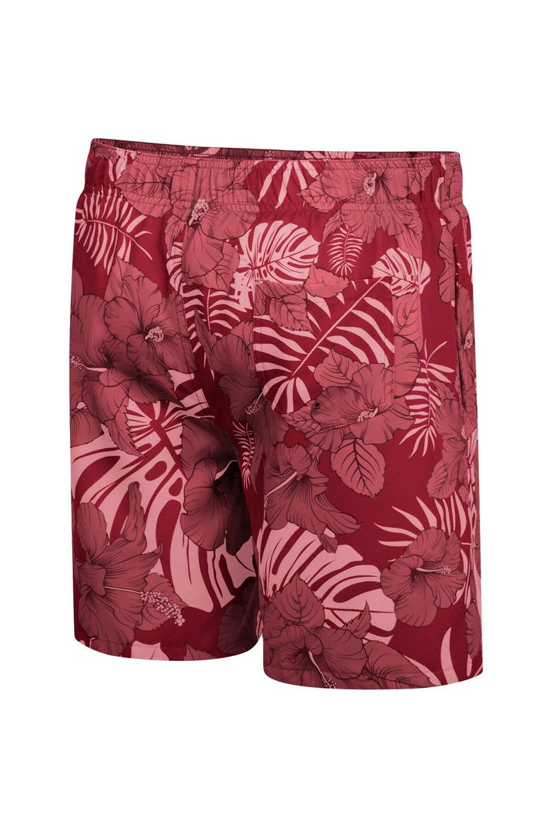 Men's Colosseum Cardinal Iowa State Cyclones The Dude Swim Shorts, Alternate, color, Cardinal