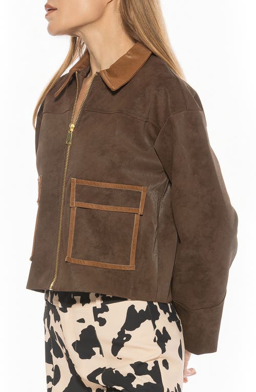 Alexia Admor Sorell Utility Jacket In Brown