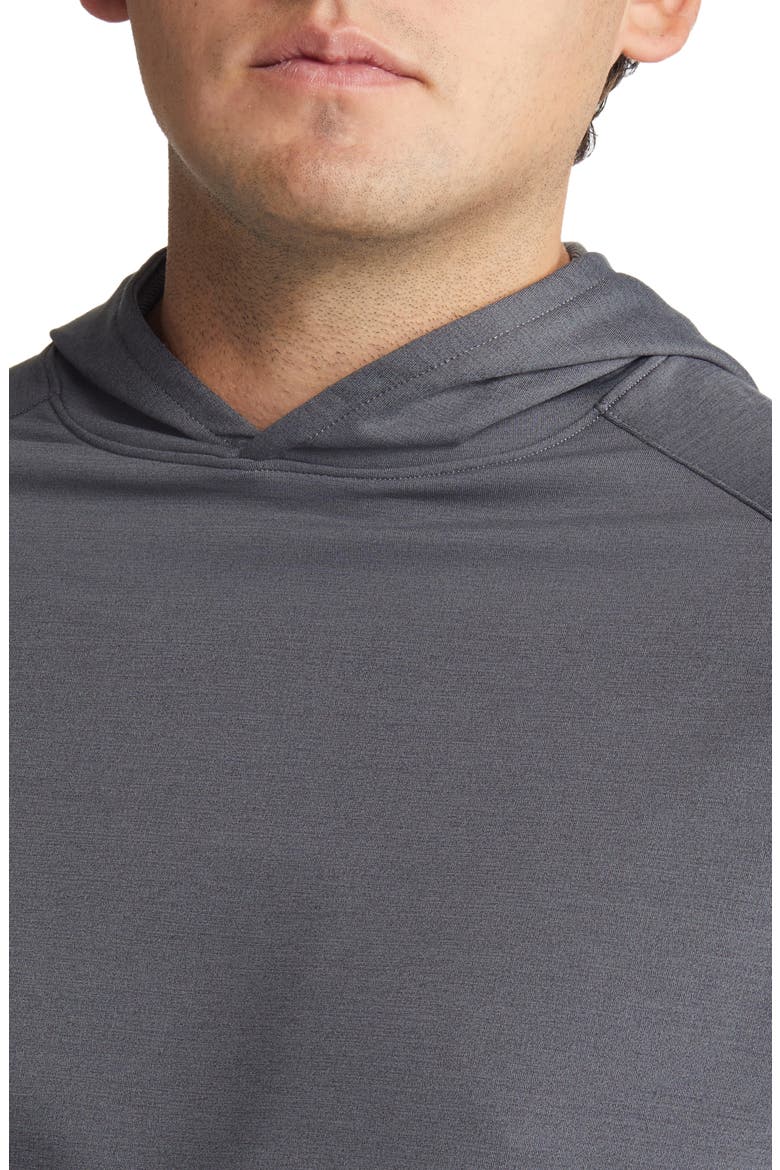 Pine Performance Hoodie, Alternate, color, GREY