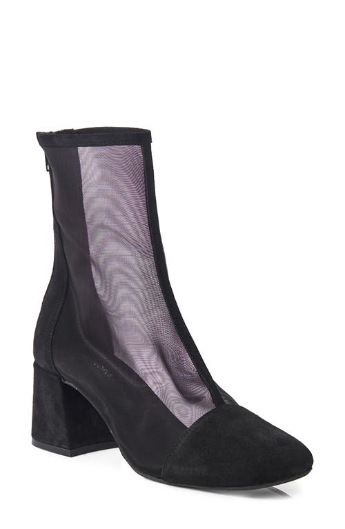 Free People Wisteria Cap Toe Bootie in Black Suede/Mesh 