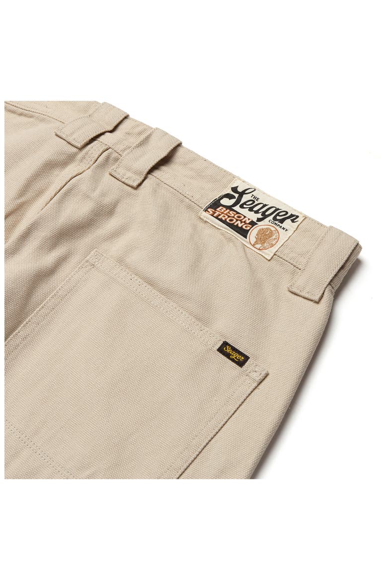 Bison Cotton Canvas Carpenter Pants, Alternate, color, STONE